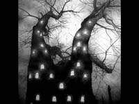 Haunted Tree